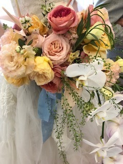 IMG_0267.jpg