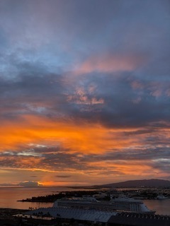 IMG_0843.jpg