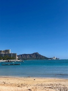 IMG_2425.jpg