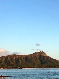 IMG_2805.jpg