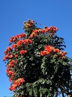 IMG_3030.jpg