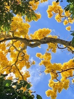 IMG_3068.jpg