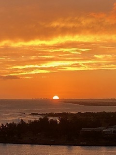 IMG_3426.jpg