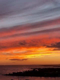 IMG_3430.jpg