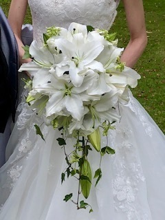 IMG_3580.jpg