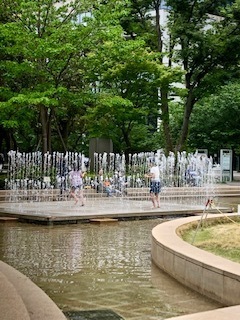 IMG_3778.jpg