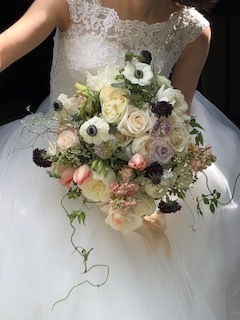 IMG_8849.jpg