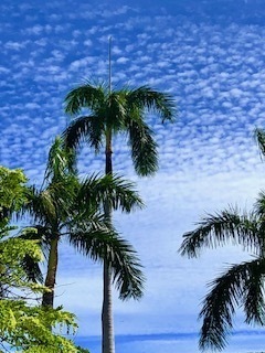 IMG_9383.jpg