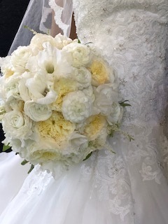 IMG_9389.jpg