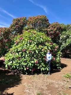 IMG_0189.jpg