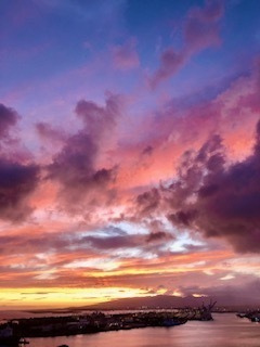 IMG_0489.jpg