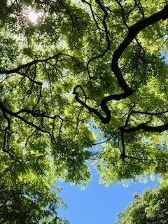 IMG_0654.jpg