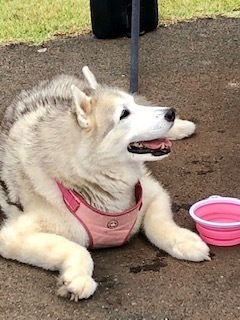 IMG_0883.jpg