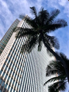 IMG_0915.jpg