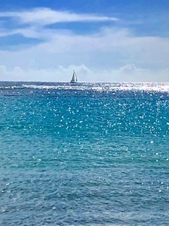 IMG_1289.jpg