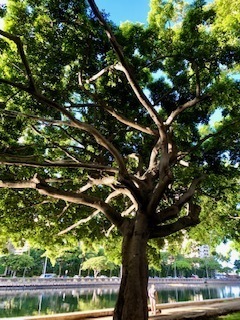 IMG_2497.jpg