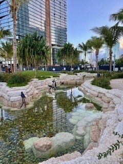 IMG_2608.jpg