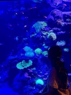 IMG_2700.jpg