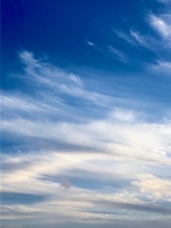 IMG_2855.jpg