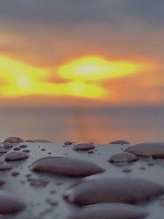 IMG_3209.jpg