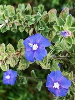 IMG_3576.jpg