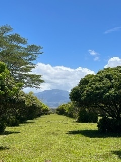 IMG_3927.jpg