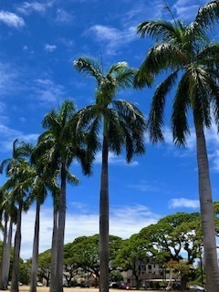 IMG_4441.jpg