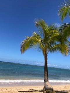 IMG_4573.jpg