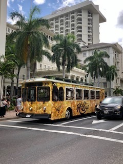 IMG_4810.jpg