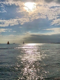 IMG_4846.jpg