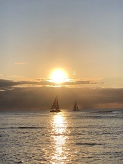 IMG_6387.jpg