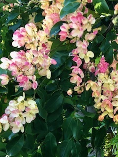 IMG_7500.jpg