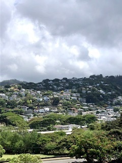 IMG_7755.jpg