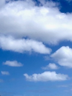 IMG_8192.jpg