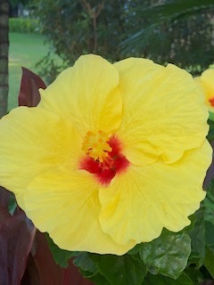 IMG_8295.jpg