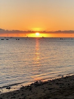 IMG_8304.jpg