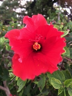 IMG_8365.jpg