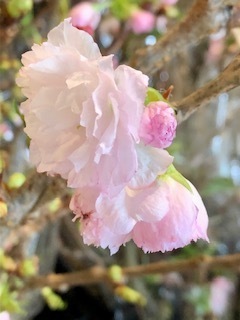 IMG_8470.jpg