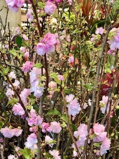 IMG_8511.jpg