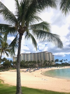 IMG_8732.jpg