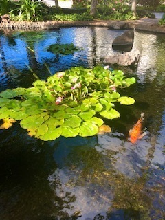 IMG_8765.jpg