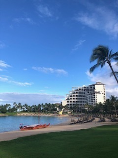 IMG_8801.jpg