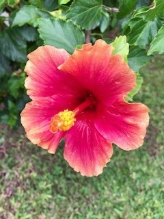 IMG_8809.jpg