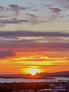 IMG_8825.jpg