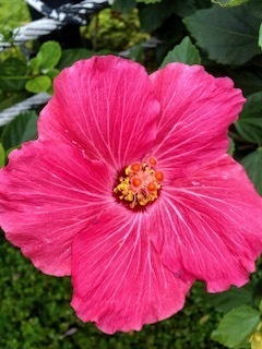 IMG_8944.jpg
