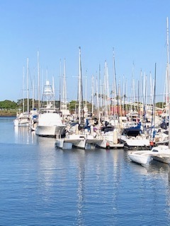 IMG_9242.jpg