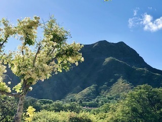IMG_9392.jpg