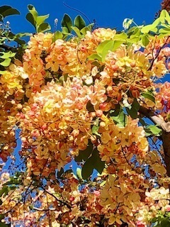 IMG_9558.jpg