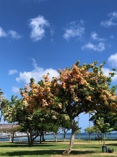 IMG_9695.jpg