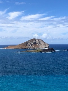 IMG_9834.jpg